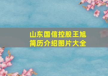 山东国信控股王旭简历介绍图片大全