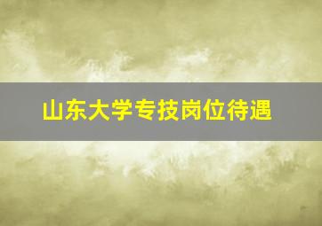 山东大学专技岗位待遇