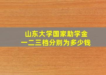 山东大学国家助学金一二三档分别为多少钱