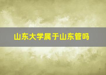 山东大学属于山东管吗