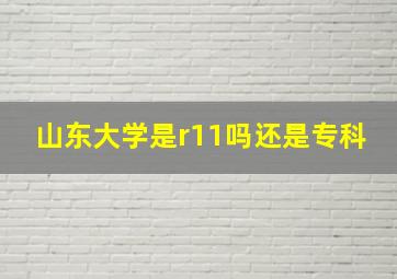 山东大学是r11吗还是专科