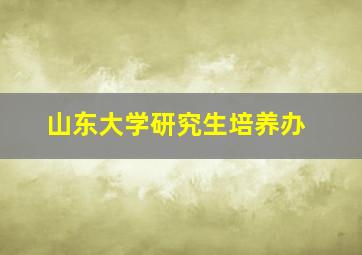 山东大学研究生培养办