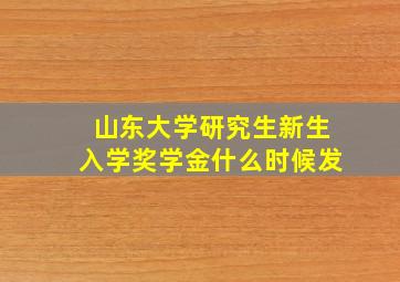 山东大学研究生新生入学奖学金什么时候发