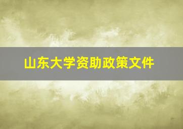 山东大学资助政策文件