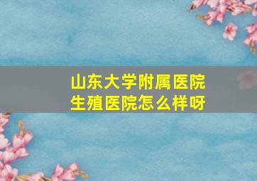 山东大学附属医院生殖医院怎么样呀