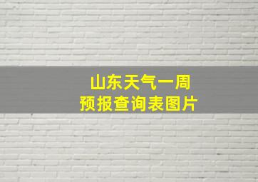 山东天气一周预报查询表图片