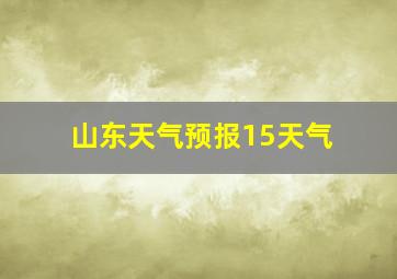 山东天气预报15天气