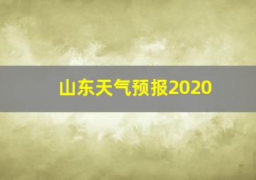 山东天气预报2020