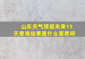 山东天气预报未来15天查询结果是什么意思呀