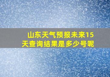 山东天气预报未来15天查询结果是多少号呢