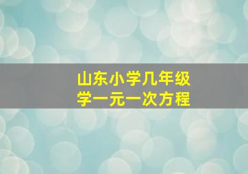 山东小学几年级学一元一次方程