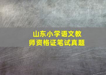 山东小学语文教师资格证笔试真题