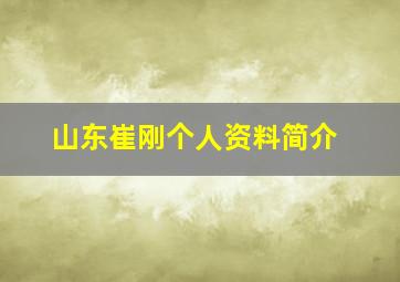 山东崔刚个人资料简介