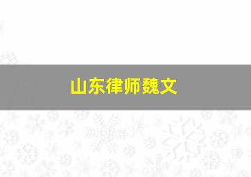 山东律师魏文