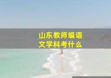 山东教师编语文学科考什么