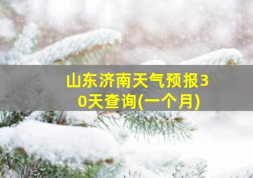 山东济南天气预报30天查询(一个月)