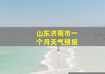 山东济南市一个月天气预报