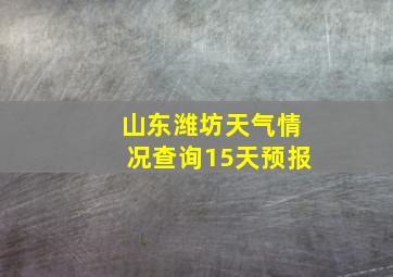 山东潍坊天气情况查询15天预报