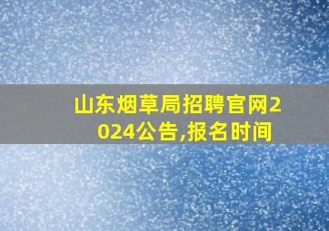 山东烟草局招聘官网2024公告,报名时间