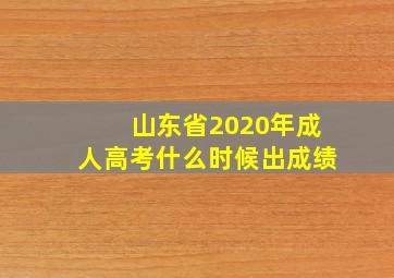 山东省2020年成人高考什么时候出成绩