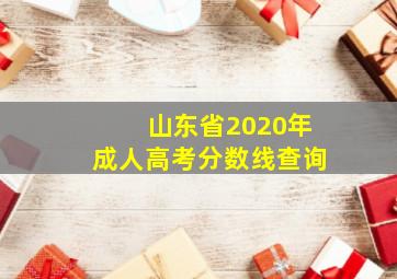 山东省2020年成人高考分数线查询