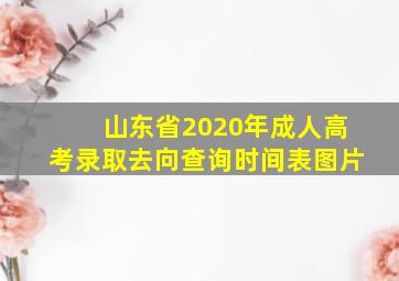 山东省2020年成人高考录取去向查询时间表图片