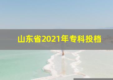 山东省2021年专科投档