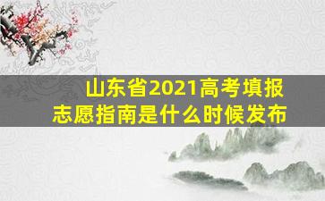 山东省2021高考填报志愿指南是什么时候发布