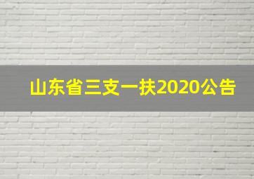 山东省三支一扶2020公告