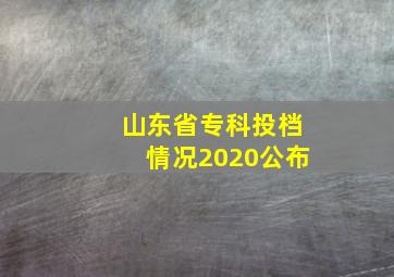 山东省专科投档情况2020公布