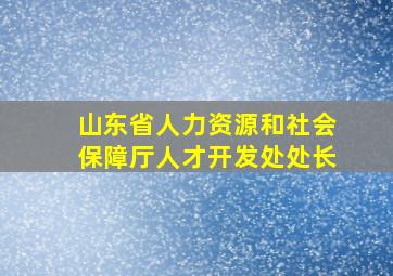 山东省人力资源和社会保障厅人才开发处处长