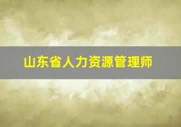 山东省人力资源管理师