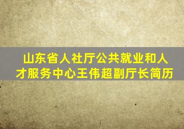 山东省人社厅公共就业和人才服务中心王伟超副厅长简历