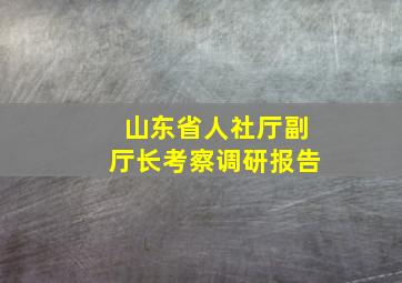 山东省人社厅副厅长考察调研报告