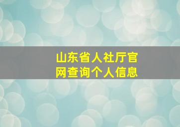 山东省人社厅官网查询个人信息