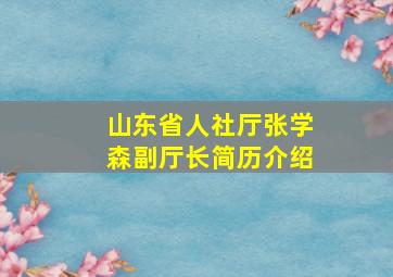 山东省人社厅张学森副厅长简历介绍