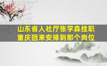 山东省人社厅张学森挂职重庆回来安排到那个岗位