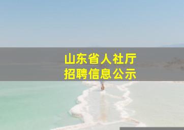 山东省人社厅招聘信息公示