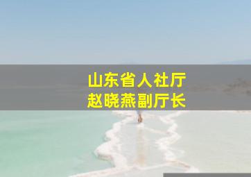 山东省人社厅赵晓燕副厅长