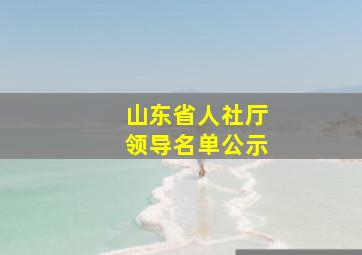 山东省人社厅领导名单公示