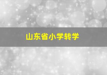 山东省小学转学