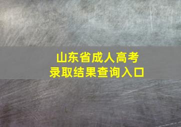 山东省成人高考录取结果查询入口