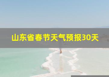 山东省春节天气预报30天