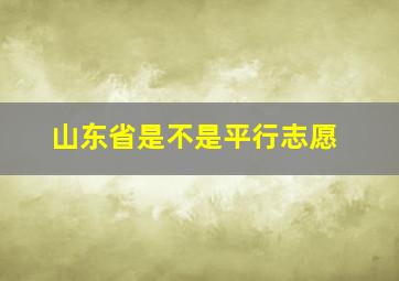 山东省是不是平行志愿