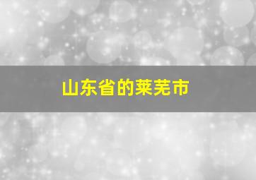 山东省的莱芜市