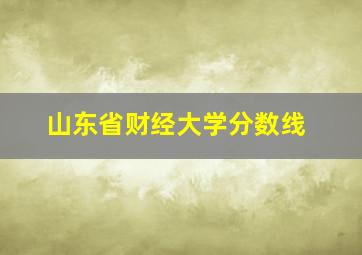 山东省财经大学分数线