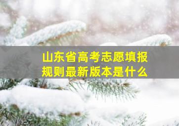 山东省高考志愿填报规则最新版本是什么