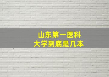 山东第一医科大学到底是几本