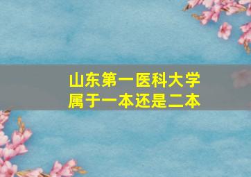 山东第一医科大学属于一本还是二本