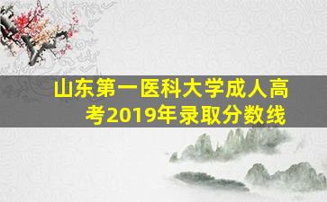 山东第一医科大学成人高考2019年录取分数线